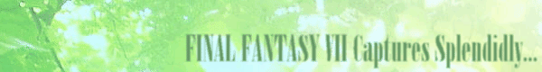 FFVIIؗɍU