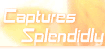 FINAL FANTASY & KINGDOM HEARTS Captures Splendidly.